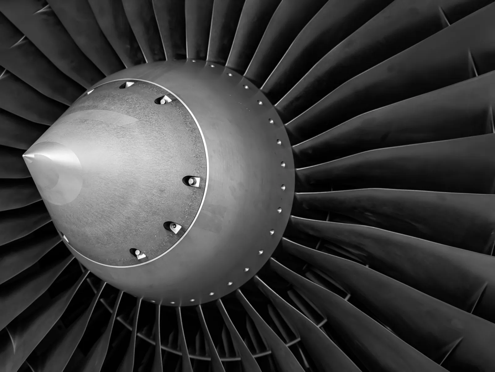 Black-and-white view of an aircraft engine spinner cone and fan blades.